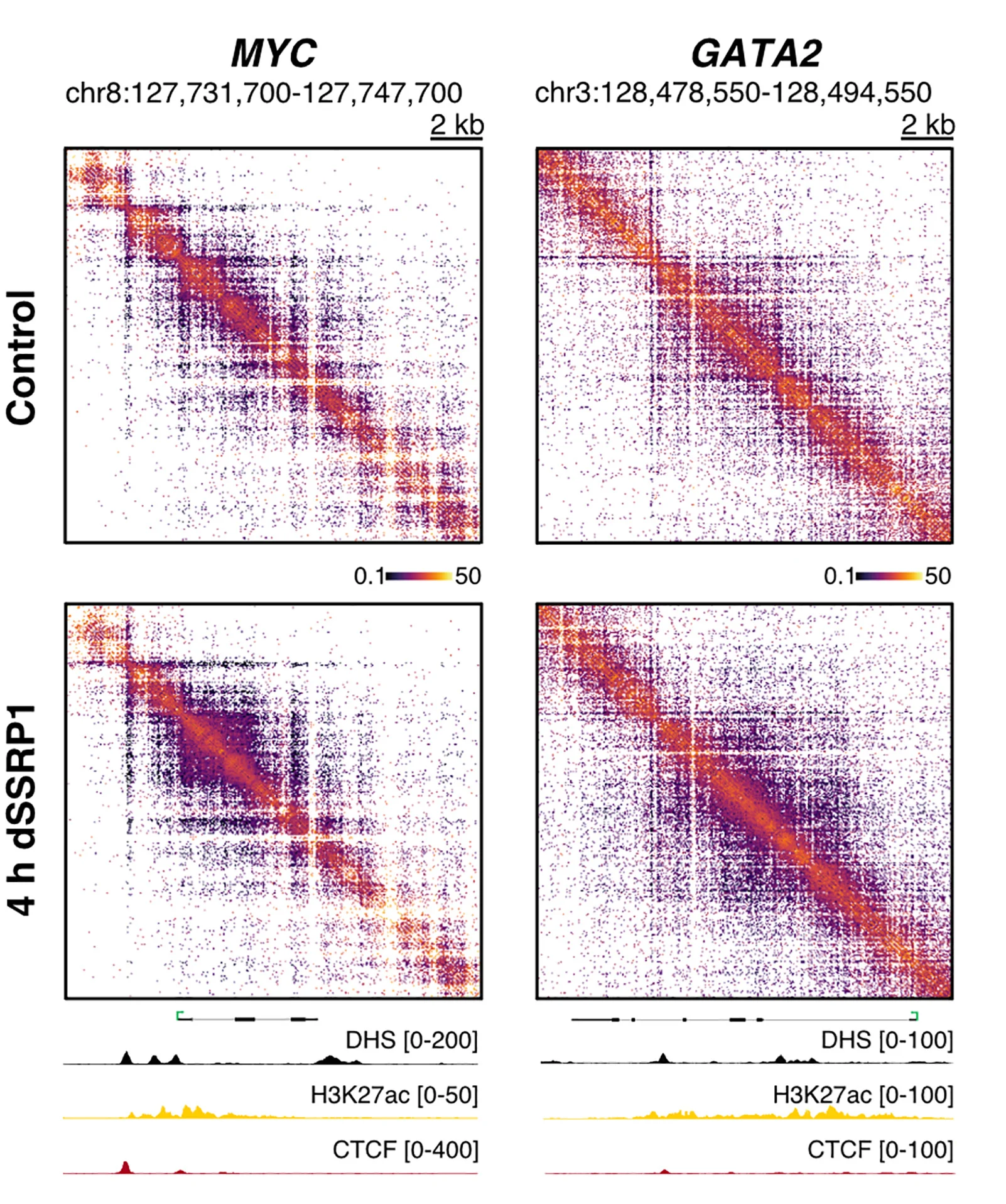 Open access visualization of Heatmap, Line Plot, Contact Matrices, Tiled-MCC, Ligation Junctions