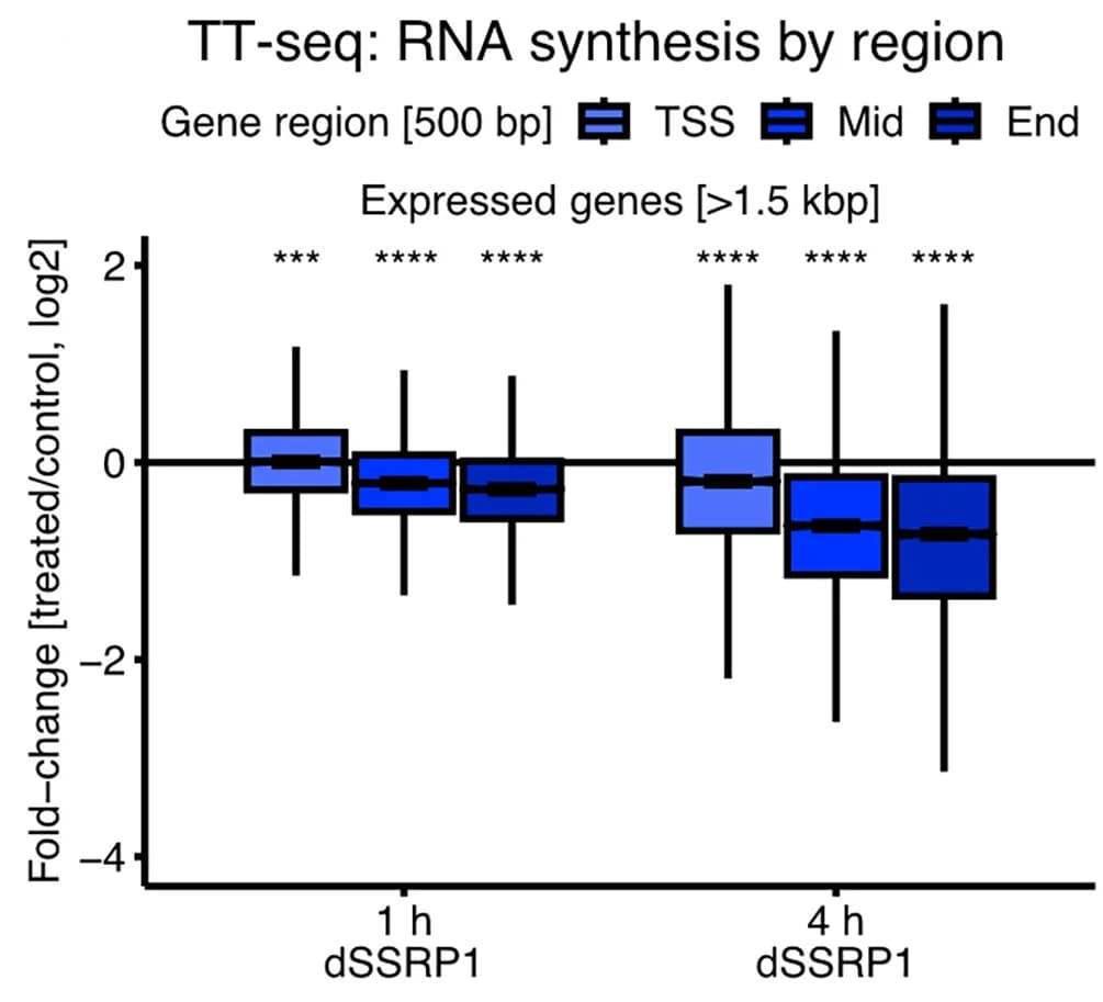 Open access visualization of Box Plot, Boxplots, RNA Synthesis, TT-seq, Gene Regions