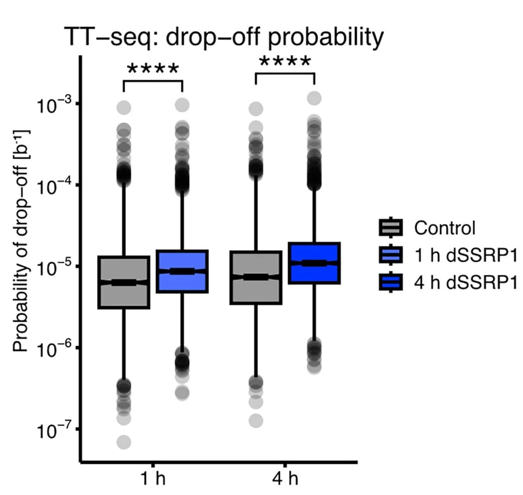 Open access visualization of Box Plot, Scatter Plot, Boxplots, RNA Pol II Drop-off, Expressed Genes