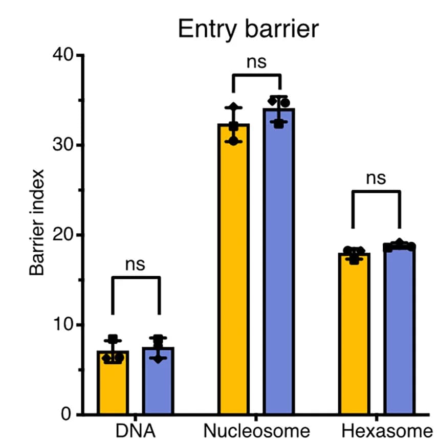 Open access visualization of Bar Plot, Clustered, Error Bars, Bar Chart, Quantification