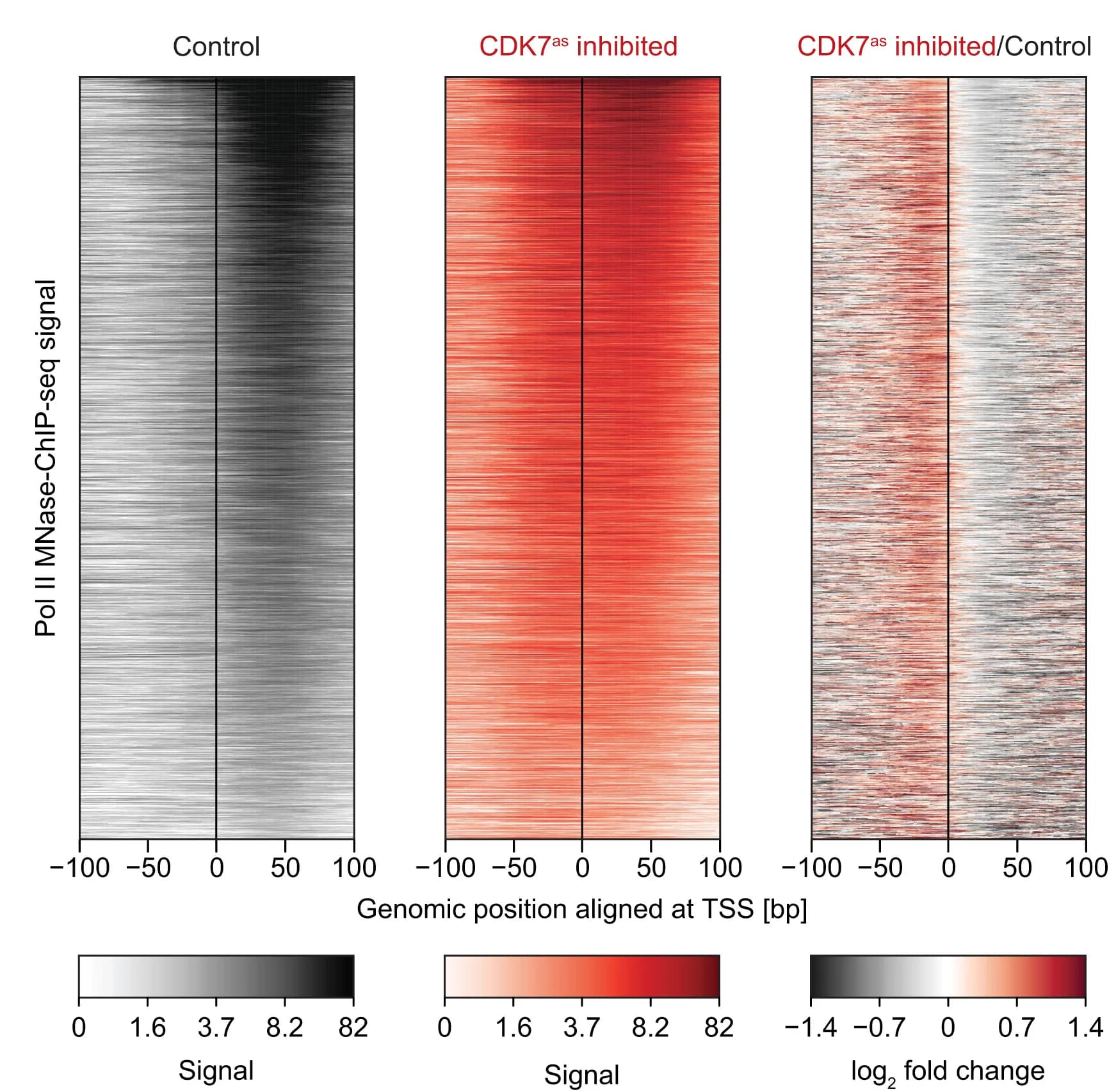 Open access visualization of Heatmap, Heatmaps, RNA Pol II, MNase-ChIP-seq, CDK7 Inhibition