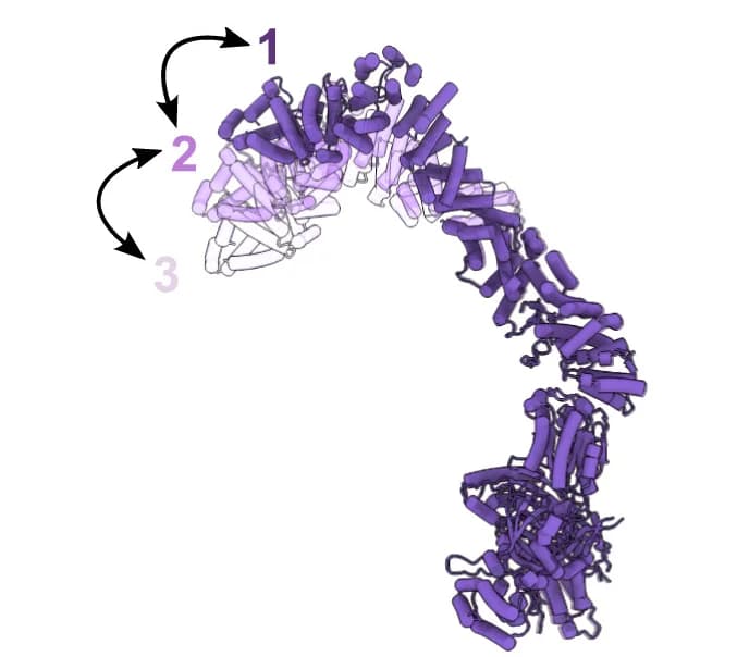 Open access visualization of Protein Structure, Atomic Models, Integrator Arm Module, Three-Dimensional Classification, Peripheral Regions