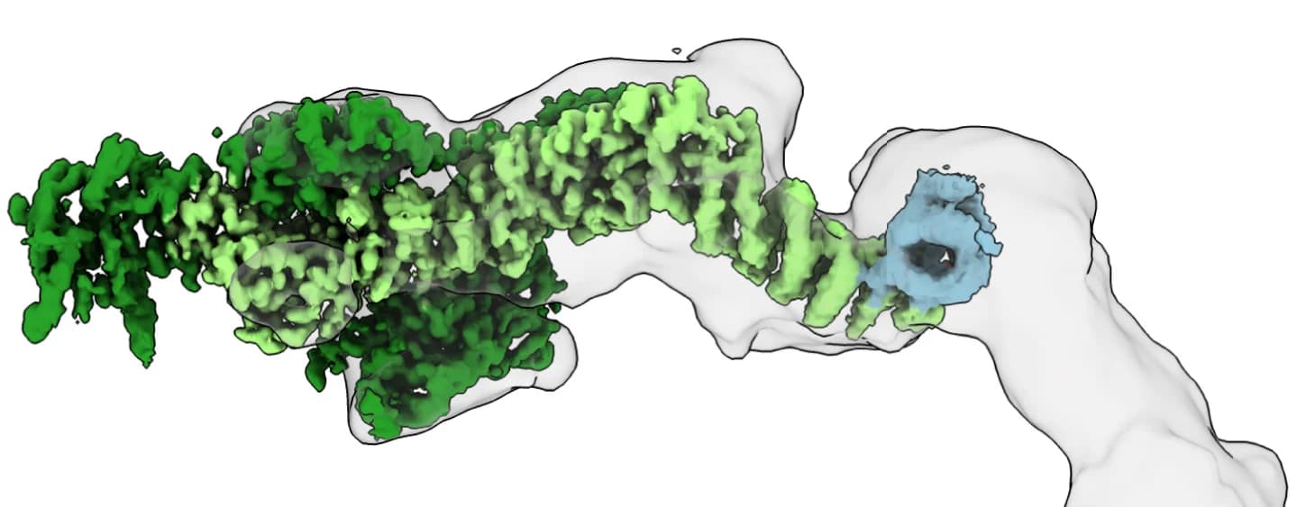 Open access visualization of 3D Plot, Protein Structure, Chemical Structure, Cryo-EM Map, Subunit Identity