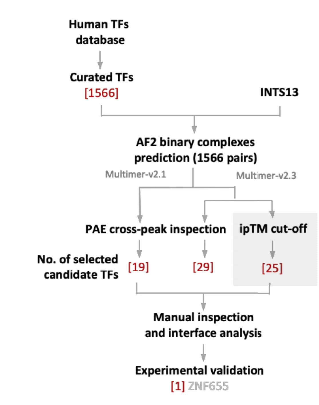 Open access visualization of Workflow, Flowchart, In Silico, Protein-Protein Interaction Screen