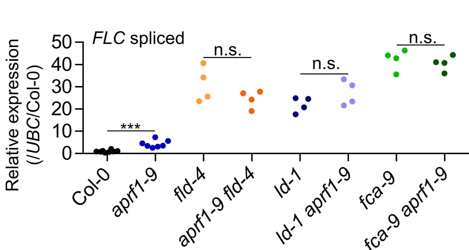 Open access visualization of Scatter Plot, Relative Values, FLC Spliced, Genetic Backgrounds, UBC Gene