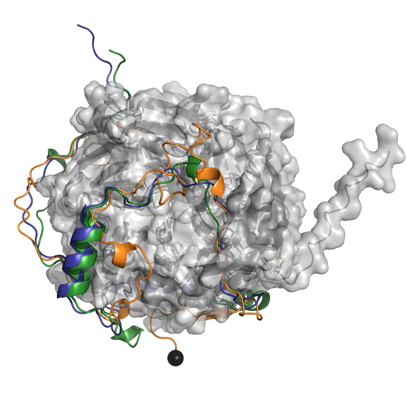 Open access visualization of Protein Structure, Overlay, Predictions