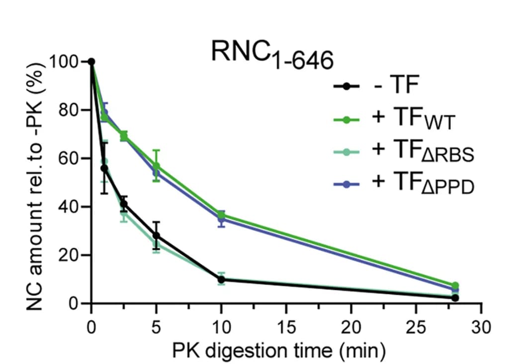 Open access visualization of Line Plot, Error Bars, Proteolysis, Proteinase K, Transcription Factor