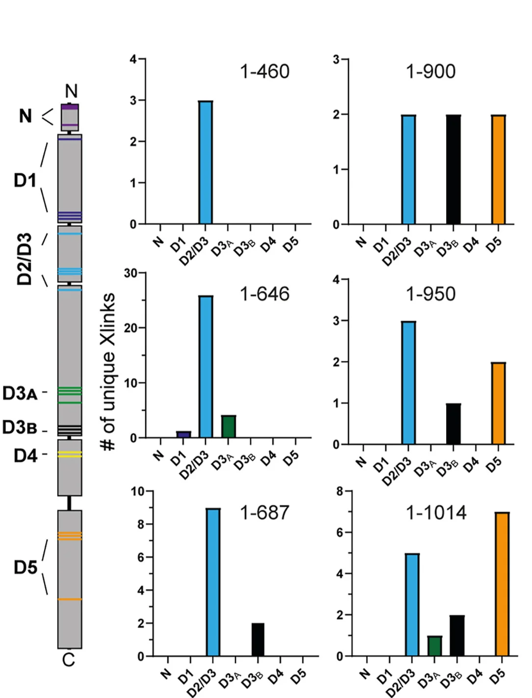 Open access visualization of Bar Plot, Illustration, Crosslinks, DnaK, Residues