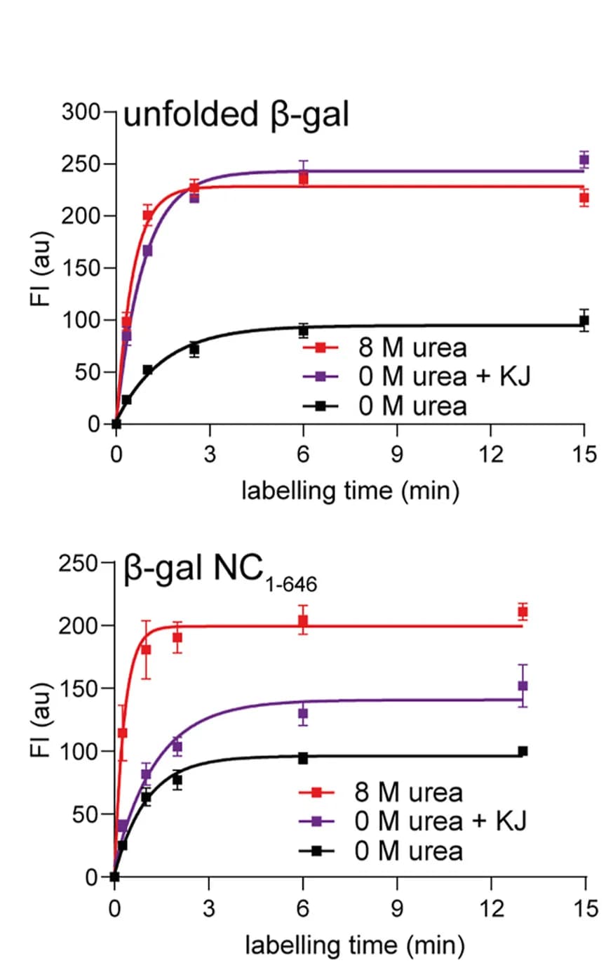 Open access visualization of Line Plot, Error Bars, Cysteine-painting, beta-gal Conformation, Labeling Reactions