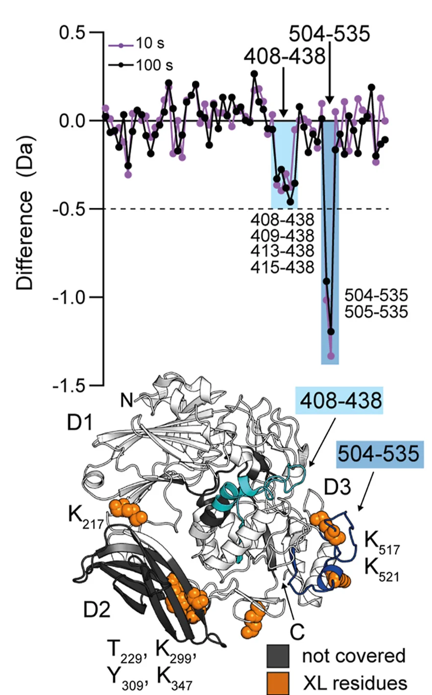 Open access visualization of Line Plot, Protein Structure, DnaK, NC Conformation, Deuterium Uptake