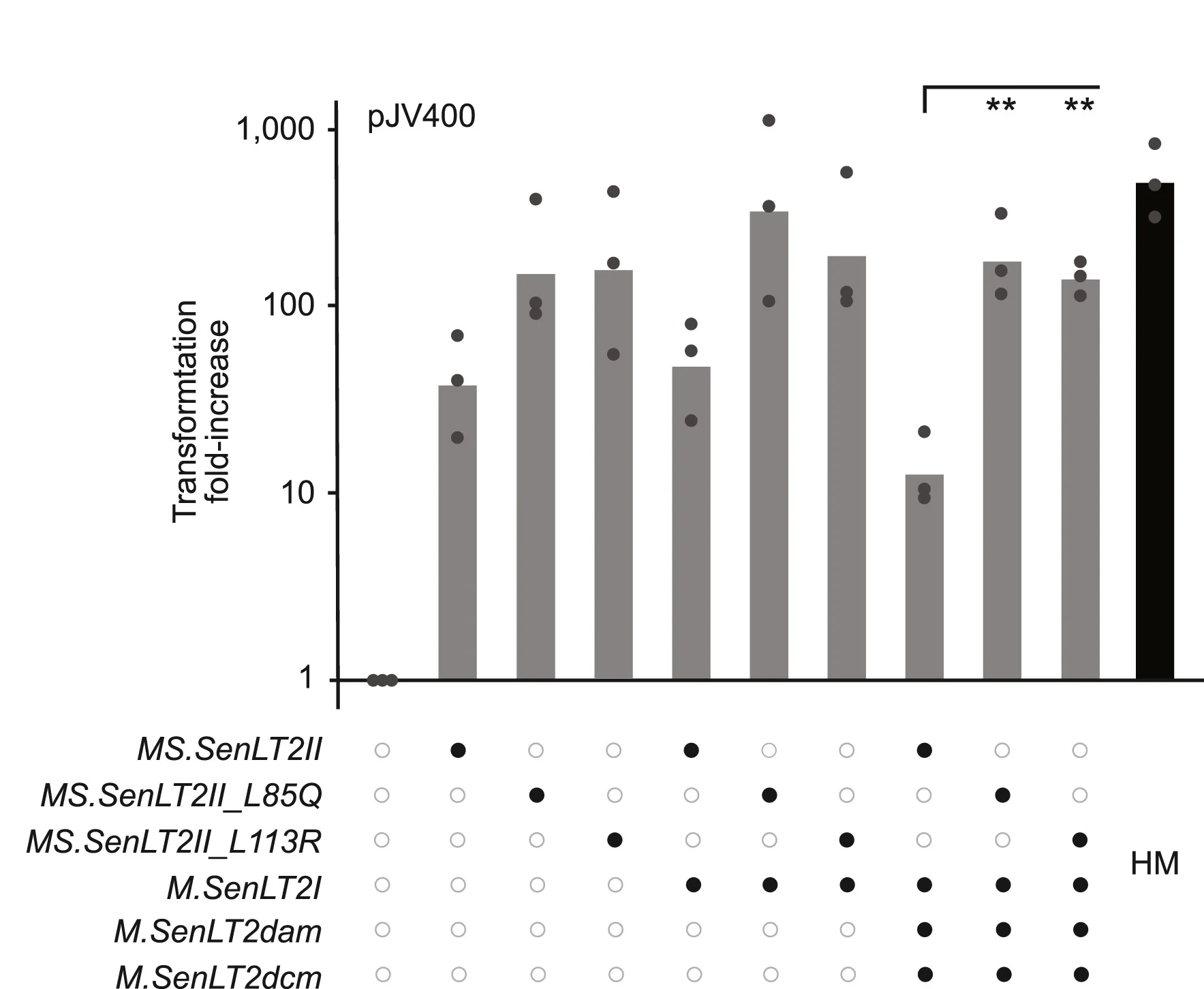 Open access visualization of Bar Plot, Scatter Plot, Electroporation Efficiency, Plasmid, MTase
