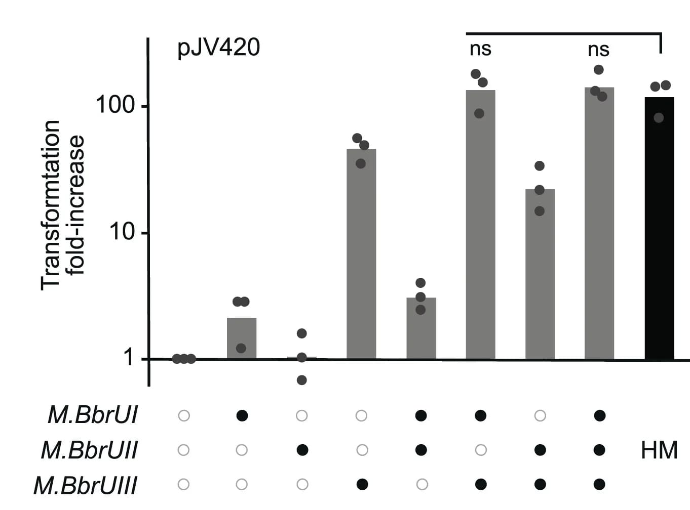 Open access visualization of Bar Plot, Scatter Plot, Electroporation Efficiency, Plasmid pJV420, IMPRINT