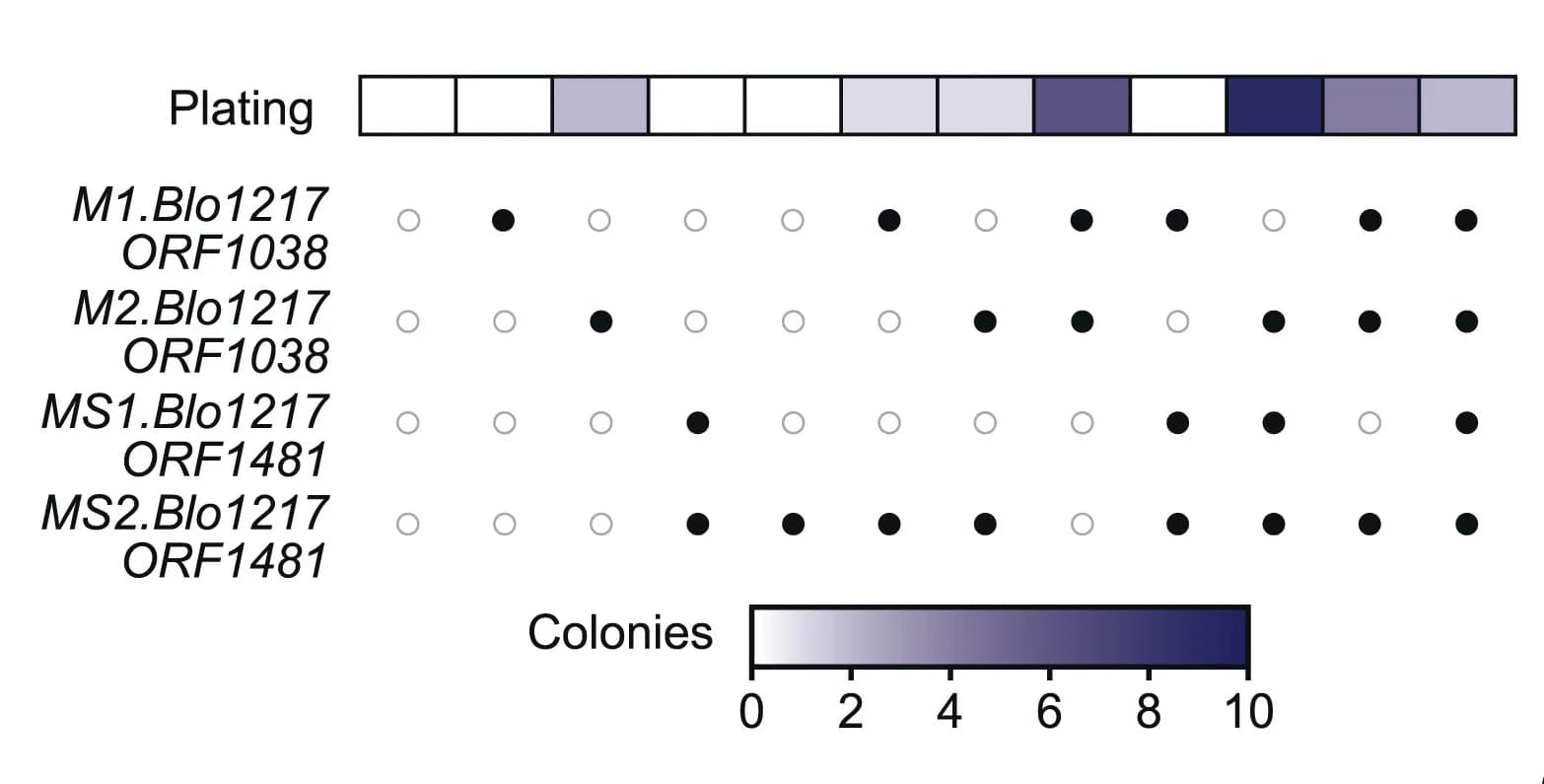 Open access visualization of Scatter Plot, Heatmap, MTase Combinations, HT-IMPRINT, pJV420