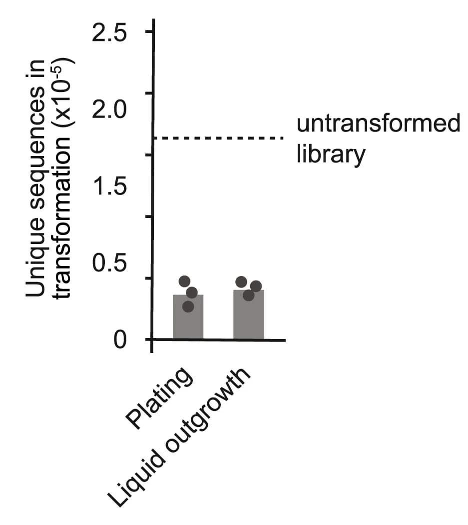 Open access visualization of Bar Plot, Scatter Plot, Library Sequences, Untransformed Library, Plating
