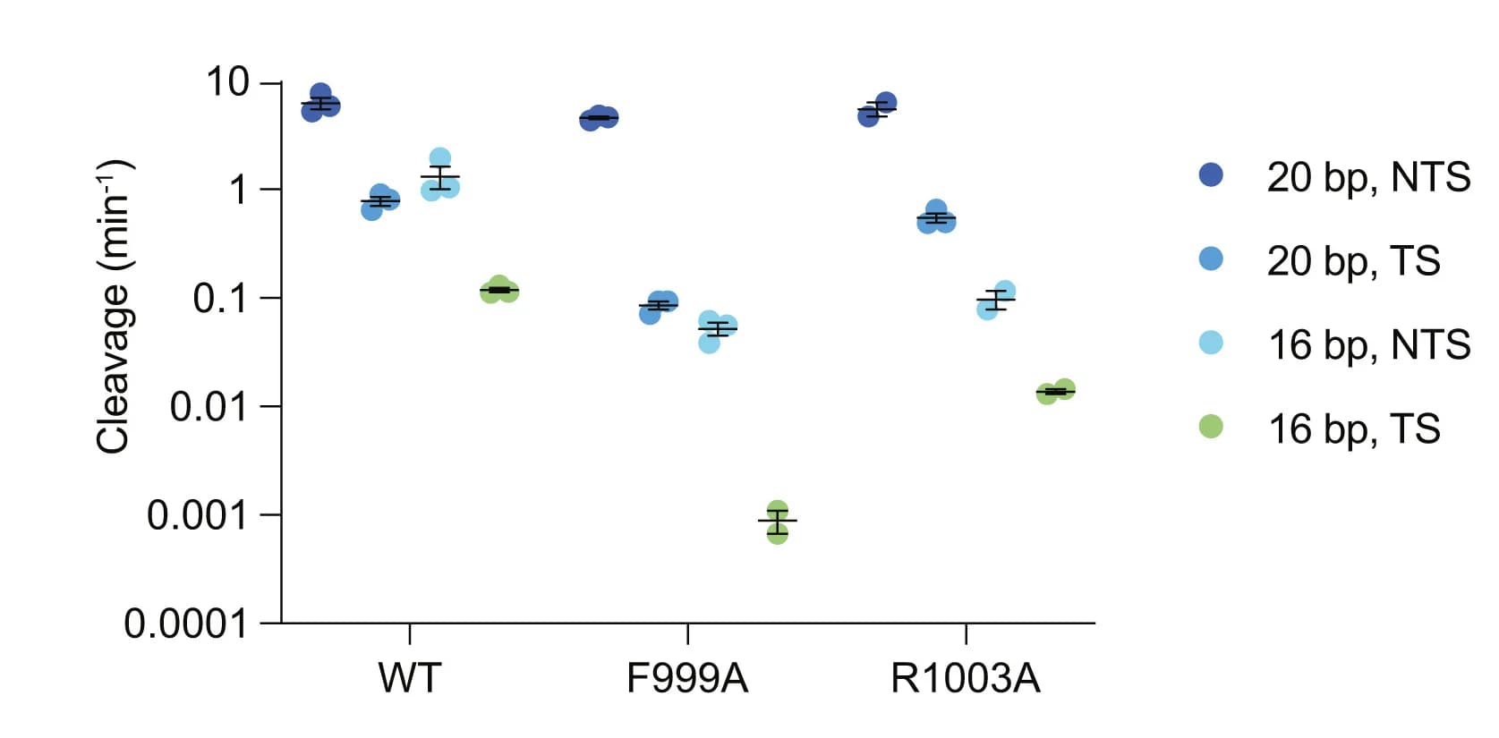 Open access visualization of Scatter Plot, Error Bars, NTS Cleavage, TS Cleavage, RuvC Lid Mutants