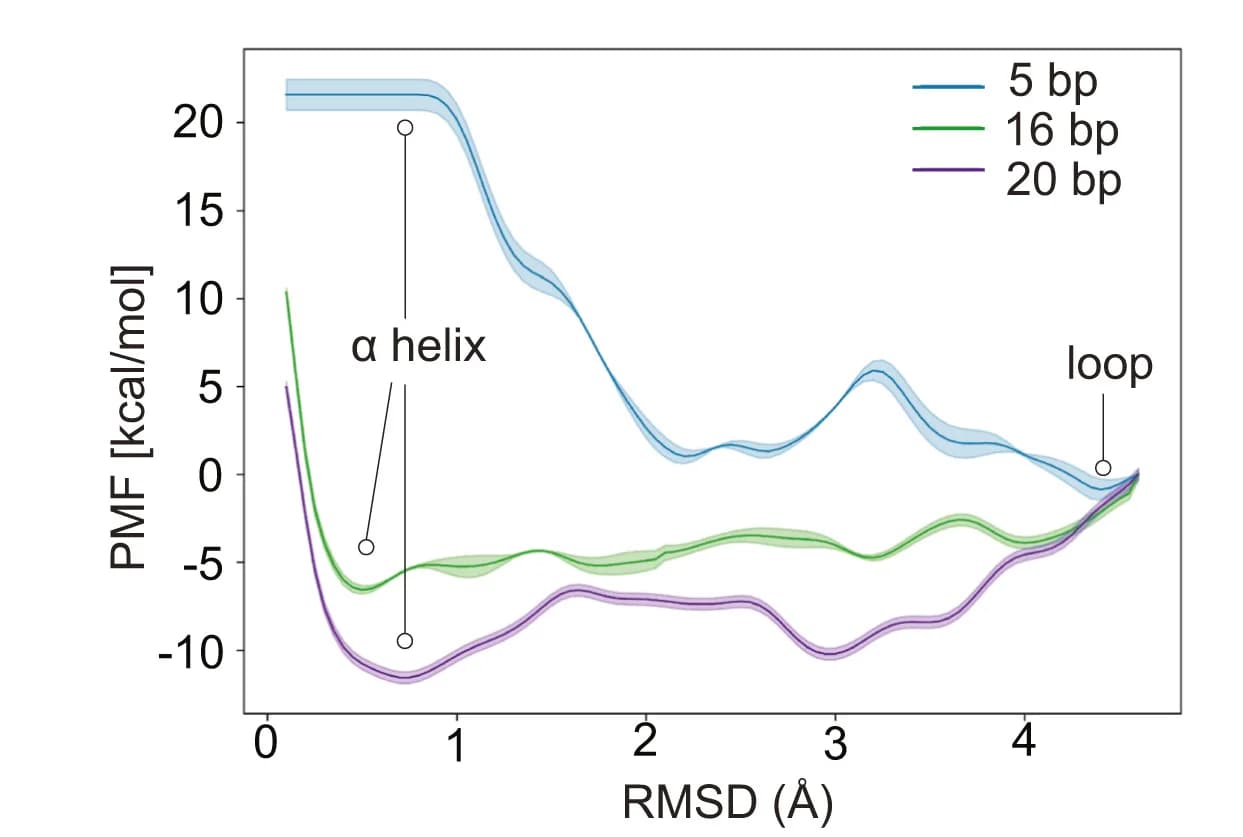 Open access visualization of Line Plot, Error Bars, Free Energy Profiles, RuvC Lid, R-loop Formation