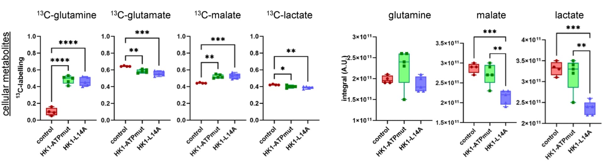 Open access visualization of Box Plot, Scatter Plot, HK1-rings, TCA Cycle, Activity
