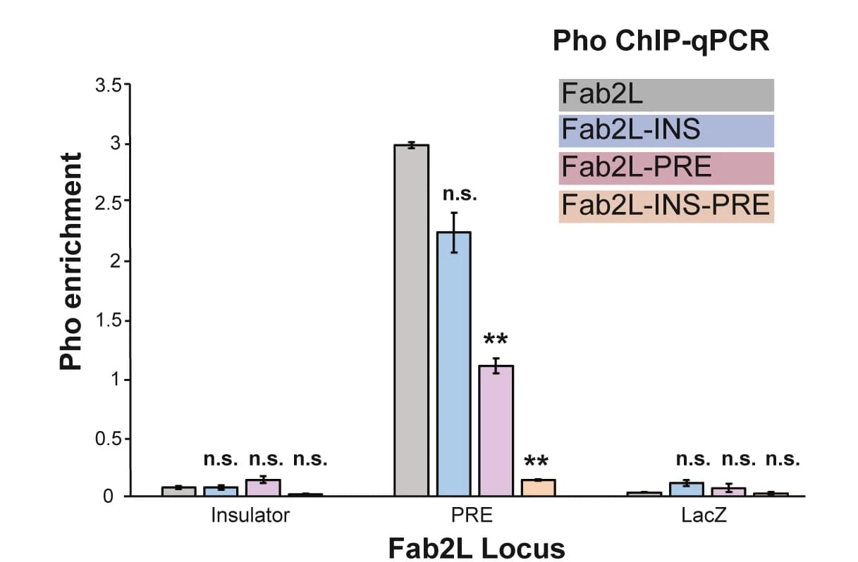 Open access visualization of Bar Plot, Error Bars, Clustered, ChIP-qPCR Assays, Embryos