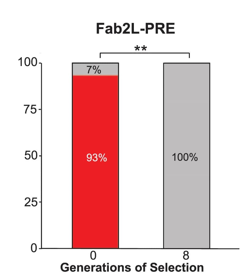 Open access visualization of Stacked Bar Plot, Bar Graphs, Phenotypic Distribution, Eye Color, Female Population