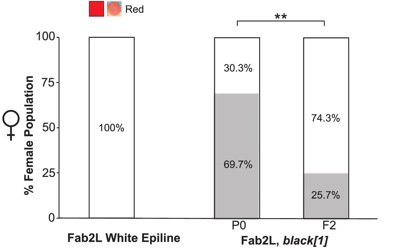Open access visualization of Stacked Bar Plot, Paramutation, Phenotype, Genotype, Eye Color