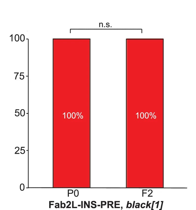 Open access visualization of Bar Plot, Paramutation, Phenotype, Genotype, Eye Color