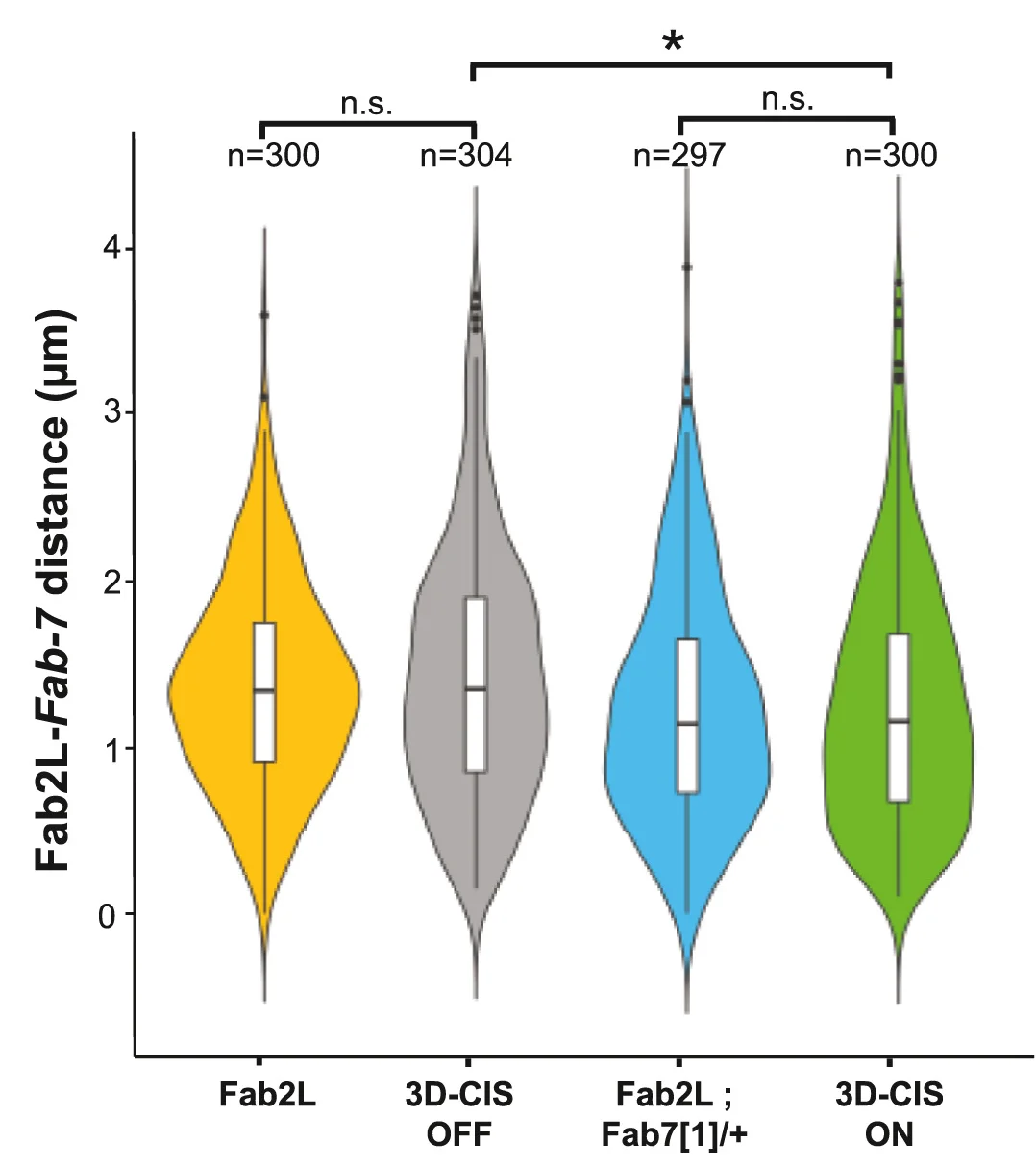Open access visualization of Violin Plot, Box Plot, Violin Plots, Distance Distributions, 37B Regions