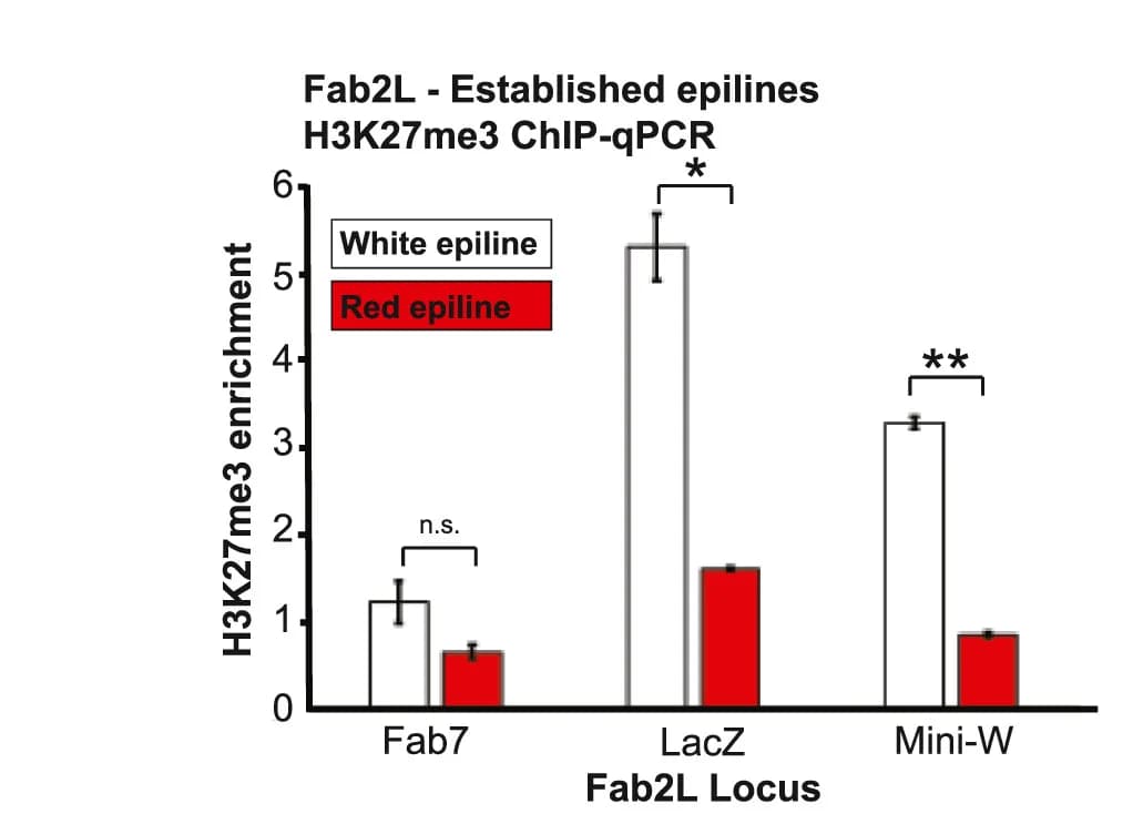 Open access visualization of Bar Plot, Error Bars, Clustered, ChIP-qPCR Assays, H3K27me3