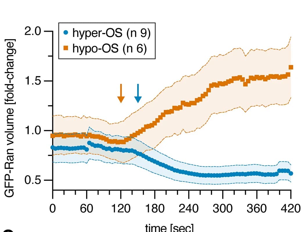 Open access visualization of Line Plot, Error Bars, Line Step, Ran-GFP, Volume