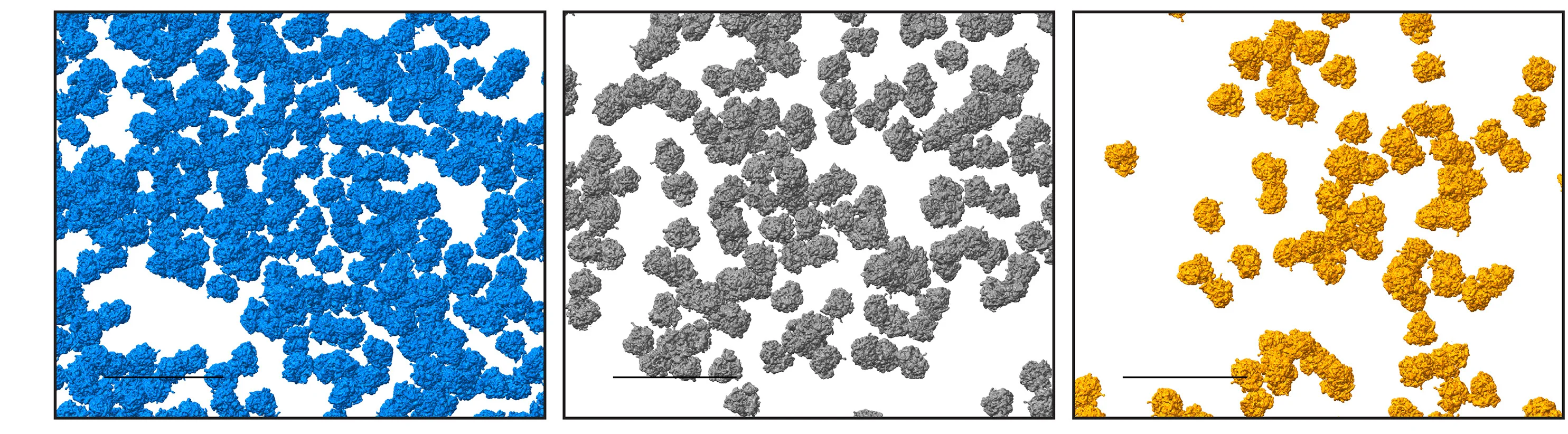 Open access visualization of Protein Structure, Ribosome Positions, Template Matching