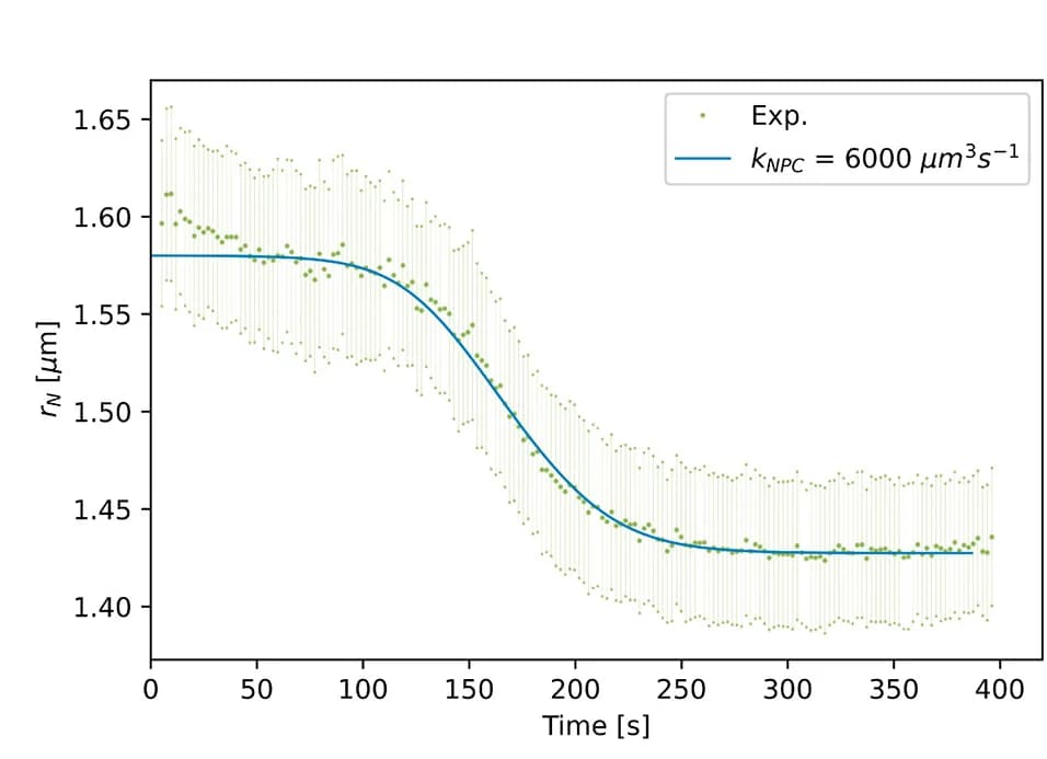 Open access visualization of Line Plot, Error Bars, Scatter Plot, Experimental Data, Theoretical Prediction