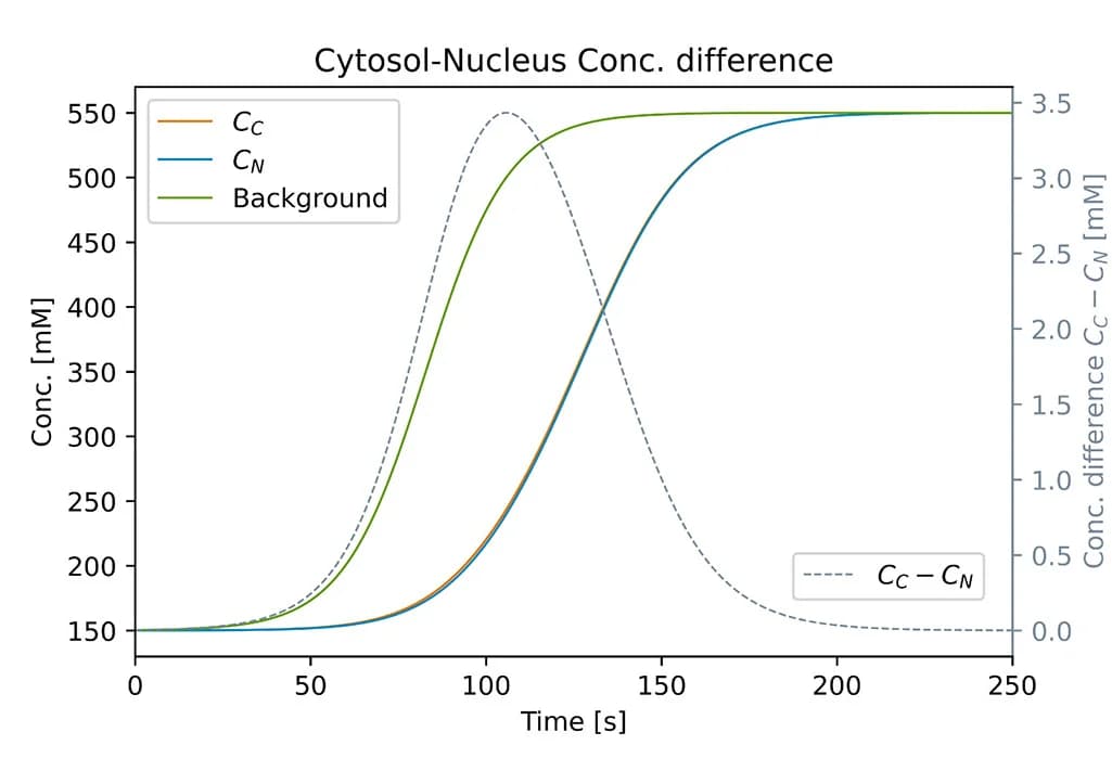 Open access visualization of Line Plot, Theoretical Prediction, Time-Dependent Concentrations, Cyto- and Nucleoplasm, Hyper-OS
