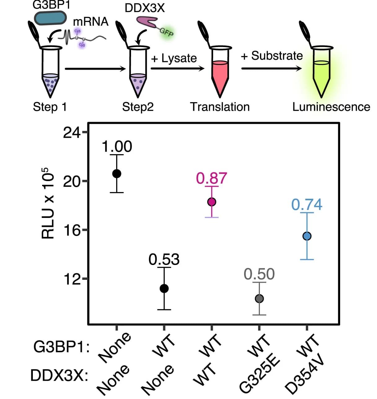 Open access visualization of Scatter Plot, Error Bars, mRNA Translatability, G3BP1, DDX3X