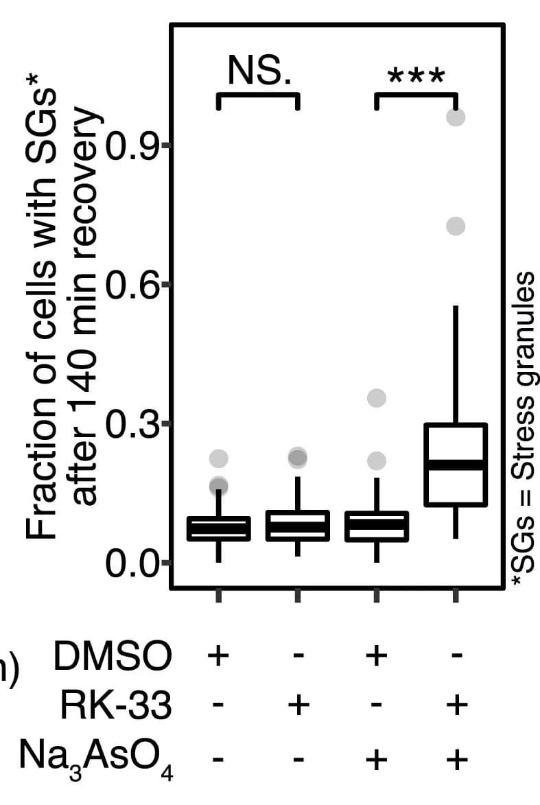 Open access visualization of Box Plot, Scatter Plot, Cells, Stress Granules, Oxidative Stress