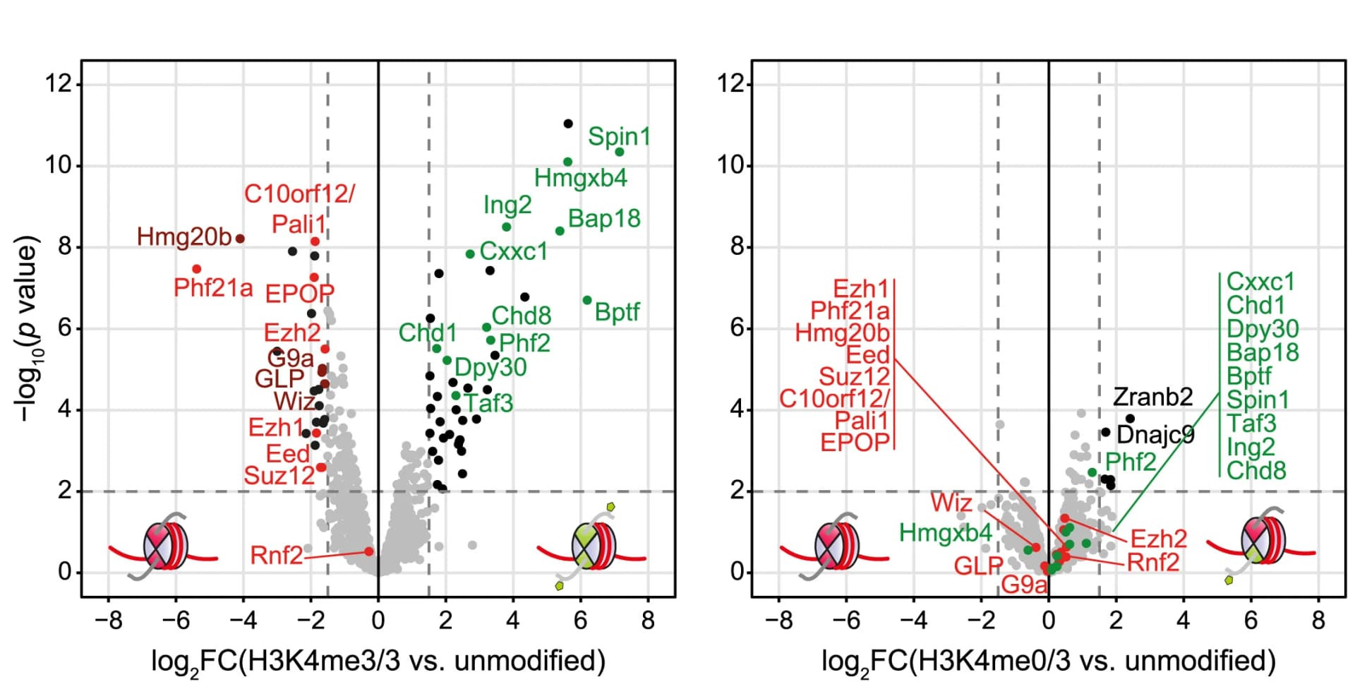 Open access visualization of Scatter Plot, Volcano Plot, Binding Protein, Nucleosome, H3K4me3