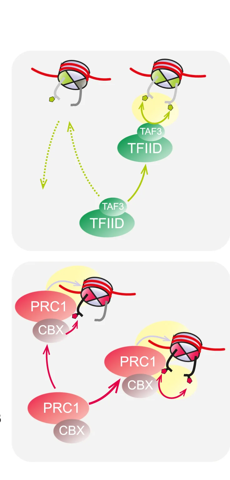 Open access visualization of Workflow, Flowchart, Illustration, Schematic, Allovalent Effects