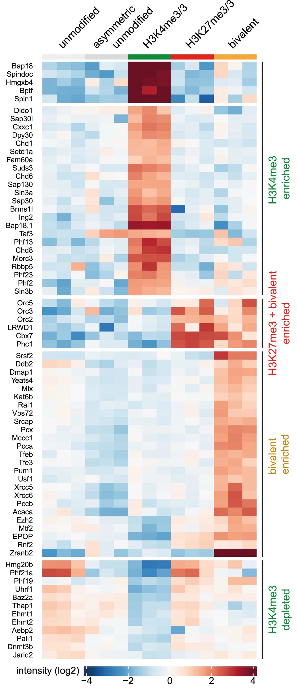 Open access visualization of Heatmap, Nucleosomes, Affinity Purification, LFQ MS Data, Pull-down Experiments
