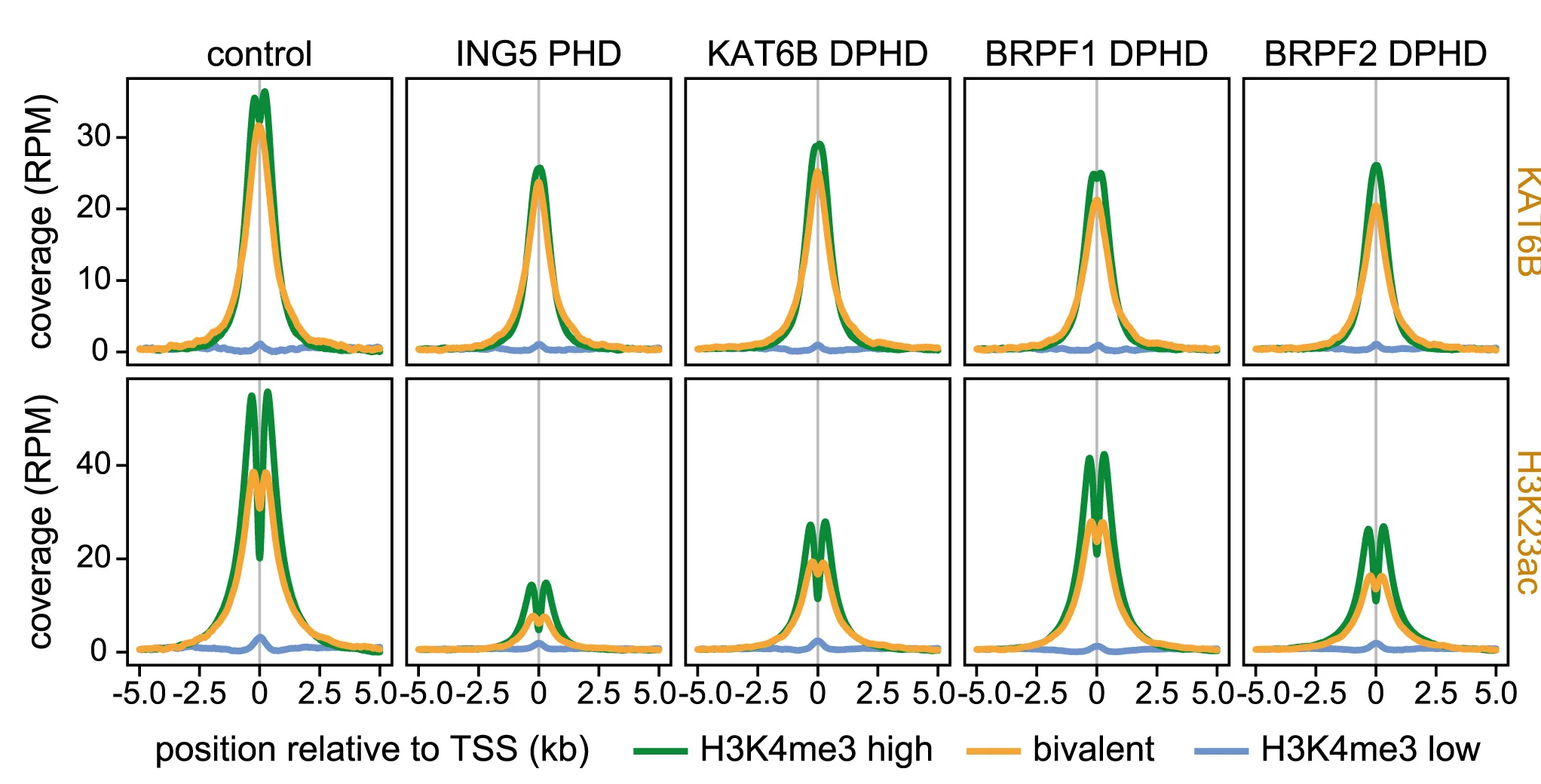 Open access visualization of Line Plot, Density Plot, ChIP-seq, KAT6B, H3K23ac