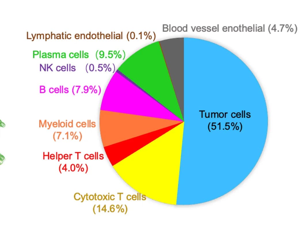 Open access visualization of Pie Chart, Tumor Cells, Immune Cells, Stromal Cells, Cell Types