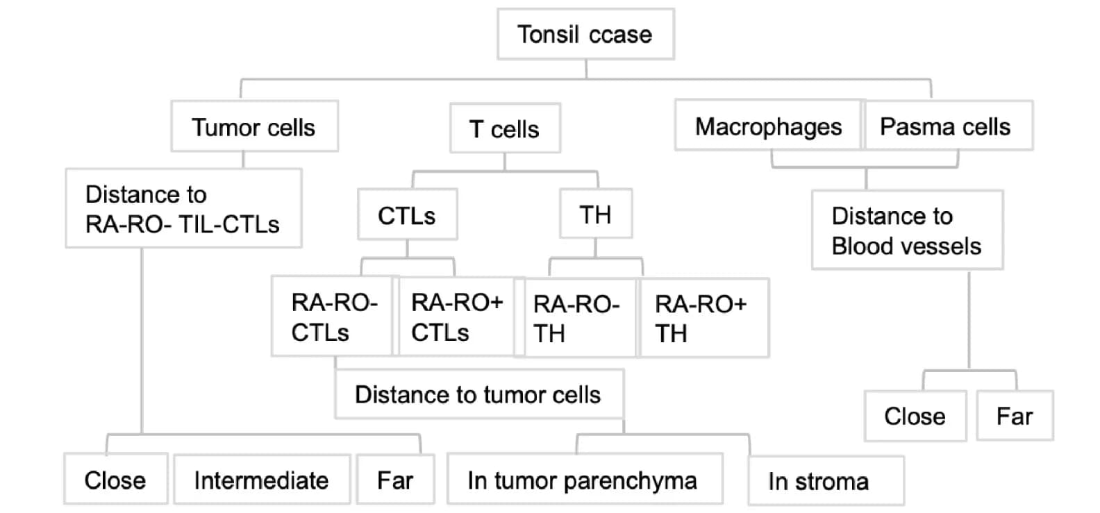 Open access visualization of Flowchart, Spatial Localization, Cells, Tonsil Cancer, Proteome Profiling