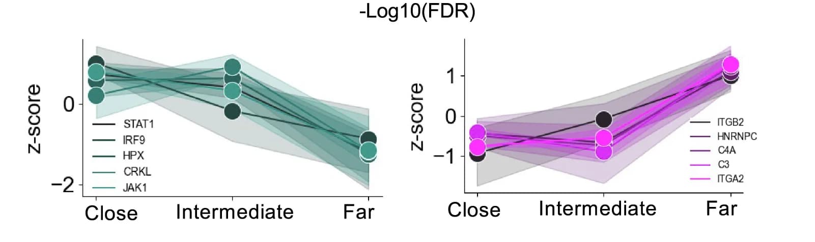 Open access visualization of Line Plot, Scatter Plot, Error Bars, Representative Images, Tumor Islands