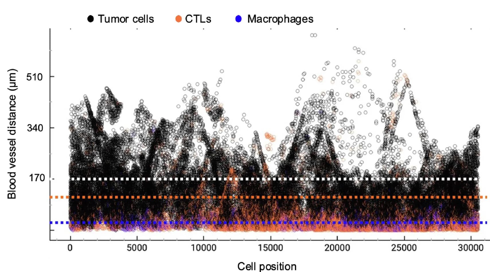 Open access visualization of Scatter Plot, Dot Plot, Tumor Cells, TIL-CTLs, Macrophages
