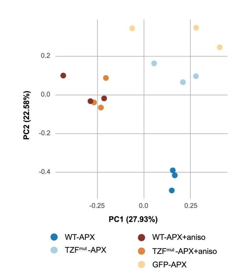 Open access visualization of Scatter Plot, PCA, APX, TTP Interactome, HEK-293 Cells