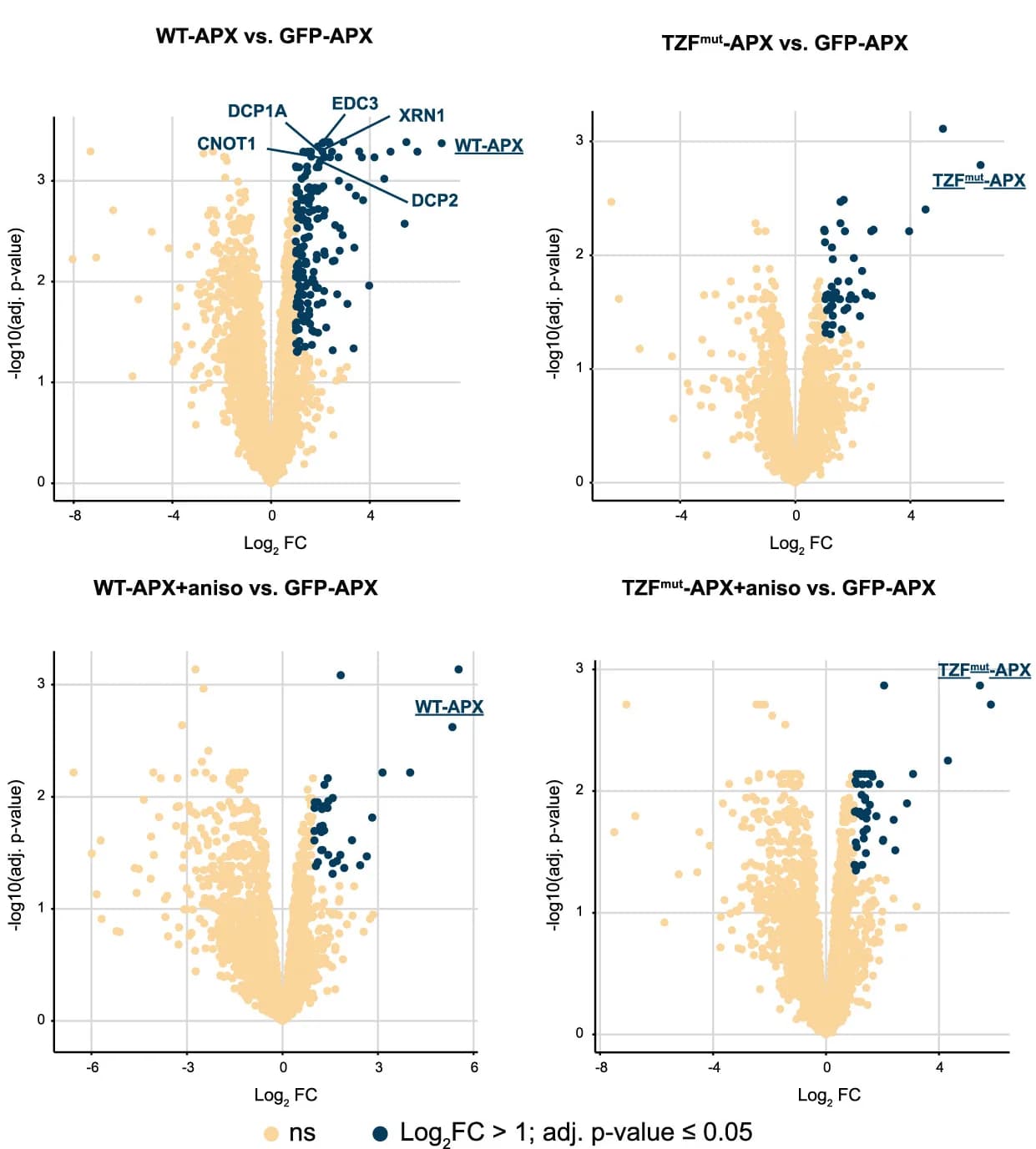 Open access visualization of Scatter Plot, Differential Enrichment Analysis, WT-APX, GFP-APX, TZFmut-APX