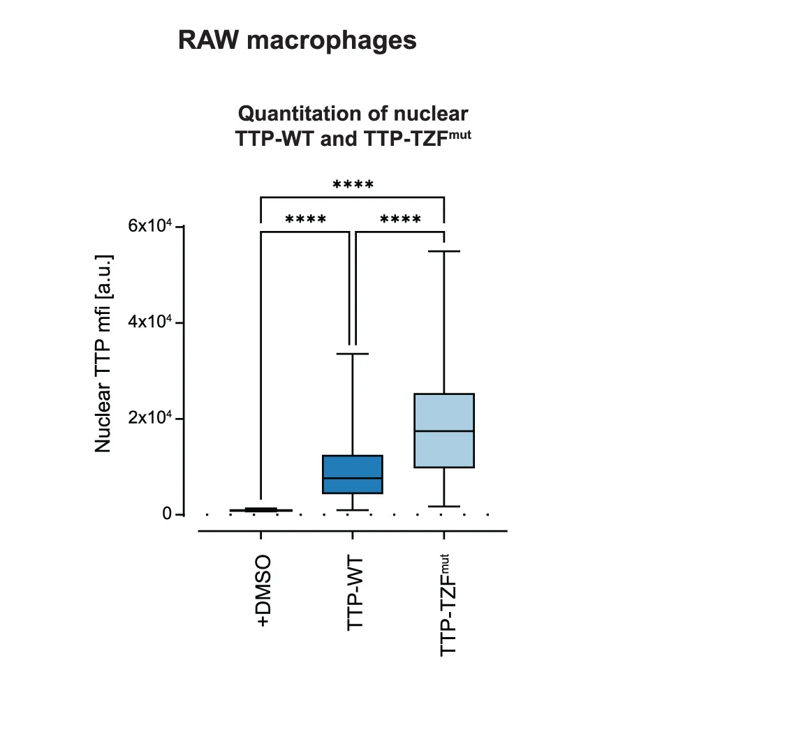 Open access visualization of Box Plot, TTP-WT, TTP-TZFmut, RAW Macrophages, Nucleus