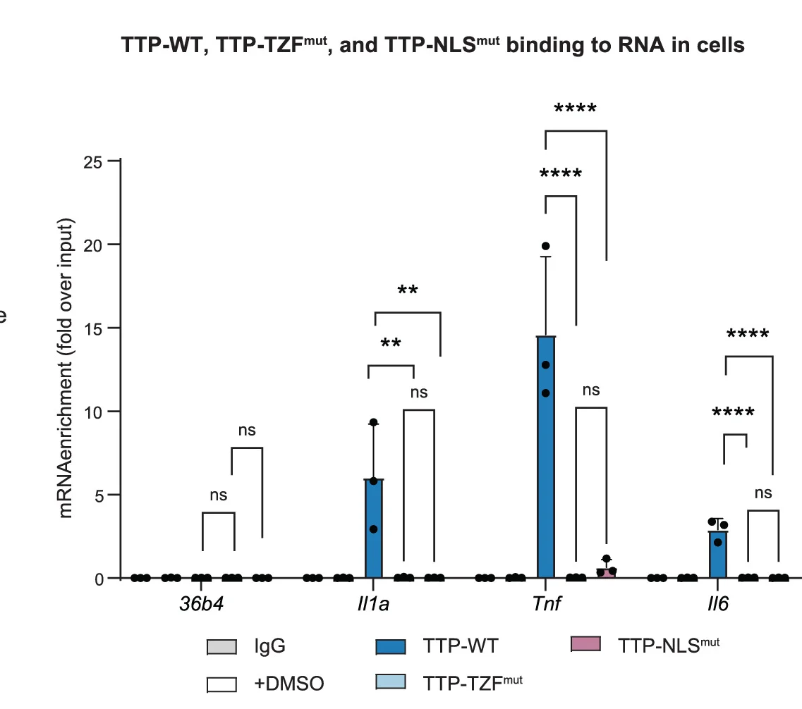 Open access visualization of Bar Plot, Error Bars, Clustered, Il1a mRNA, Tnf mRNA