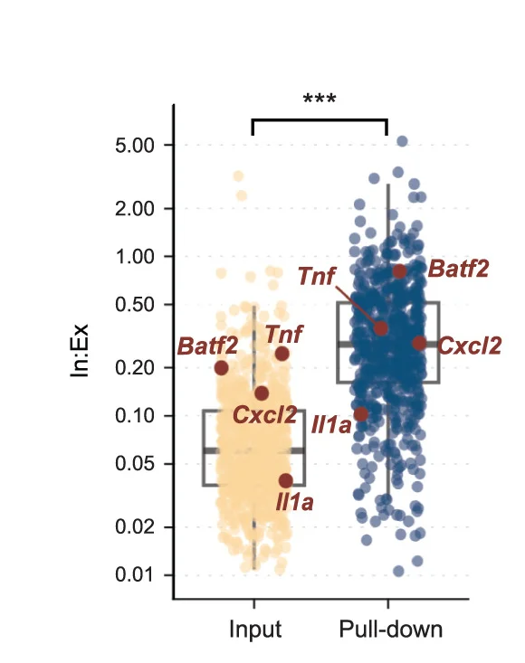 Open access visualization of Box Plot, Scatter Plot, Intronic, Exonic, TTP Target Genes