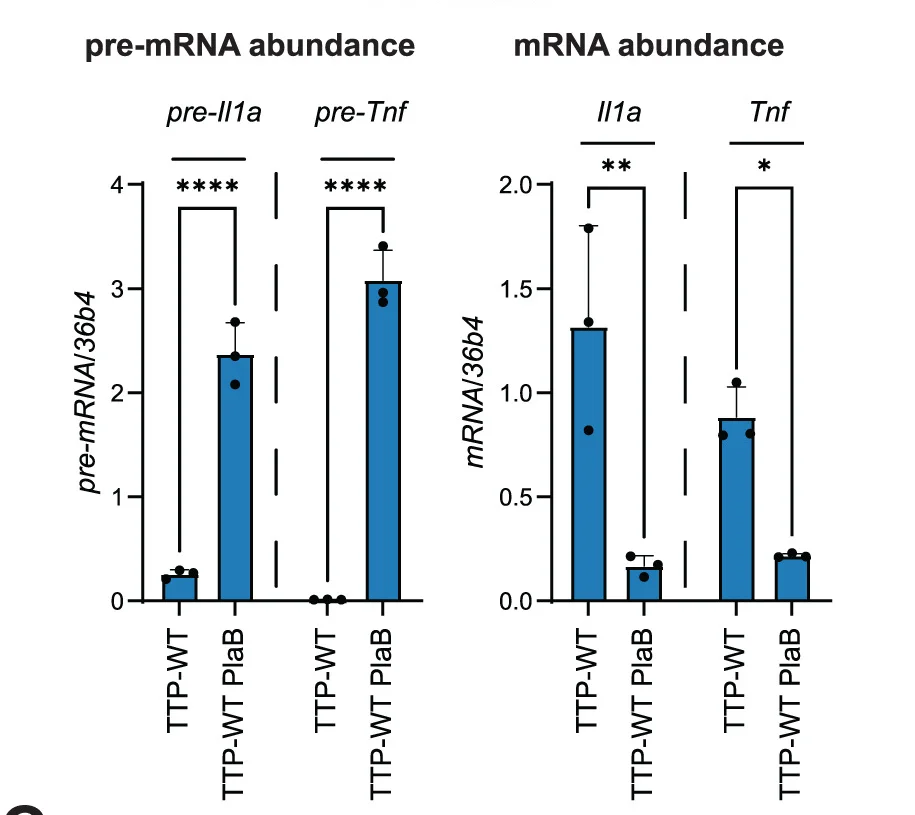 Open access visualization of Bar Plot, Error Bars, PlaB, Tnf, Il1a