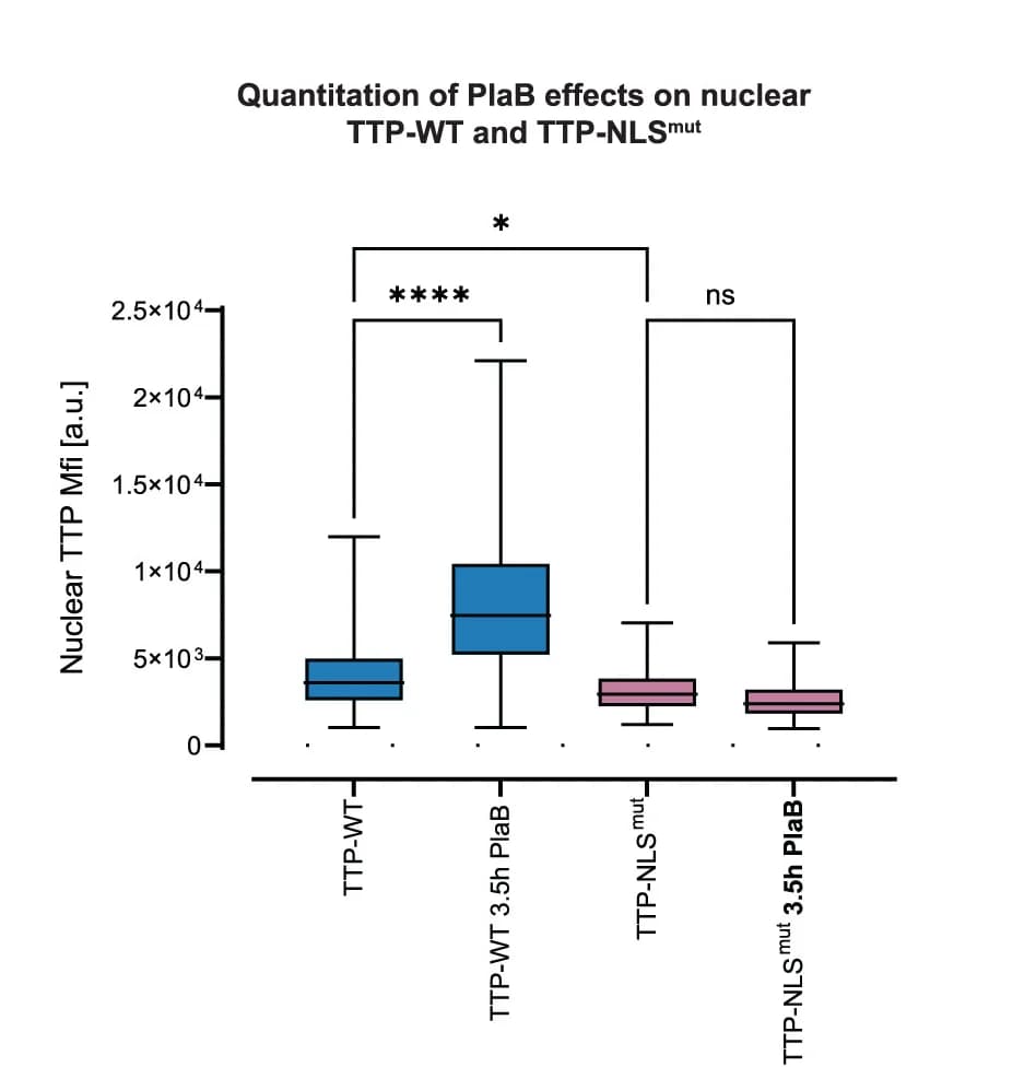 Open access visualization of Box Plot, Nuclear MFI, Quantitation, One-way ANOVA, Tukey's Multiple Comparisons Test