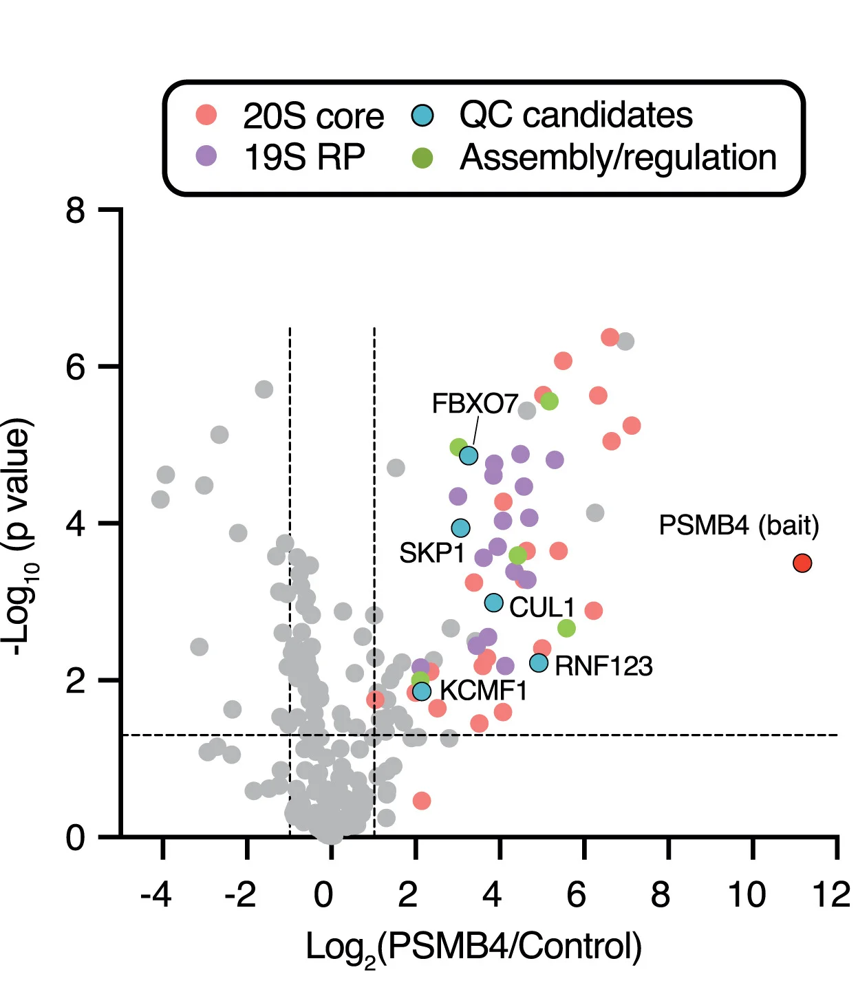 Open access visualization of Scatter Plot, PSMB4-TST, Ribosomal Ribonucleoprotein, Affinity Purification, Mass Spectrometry