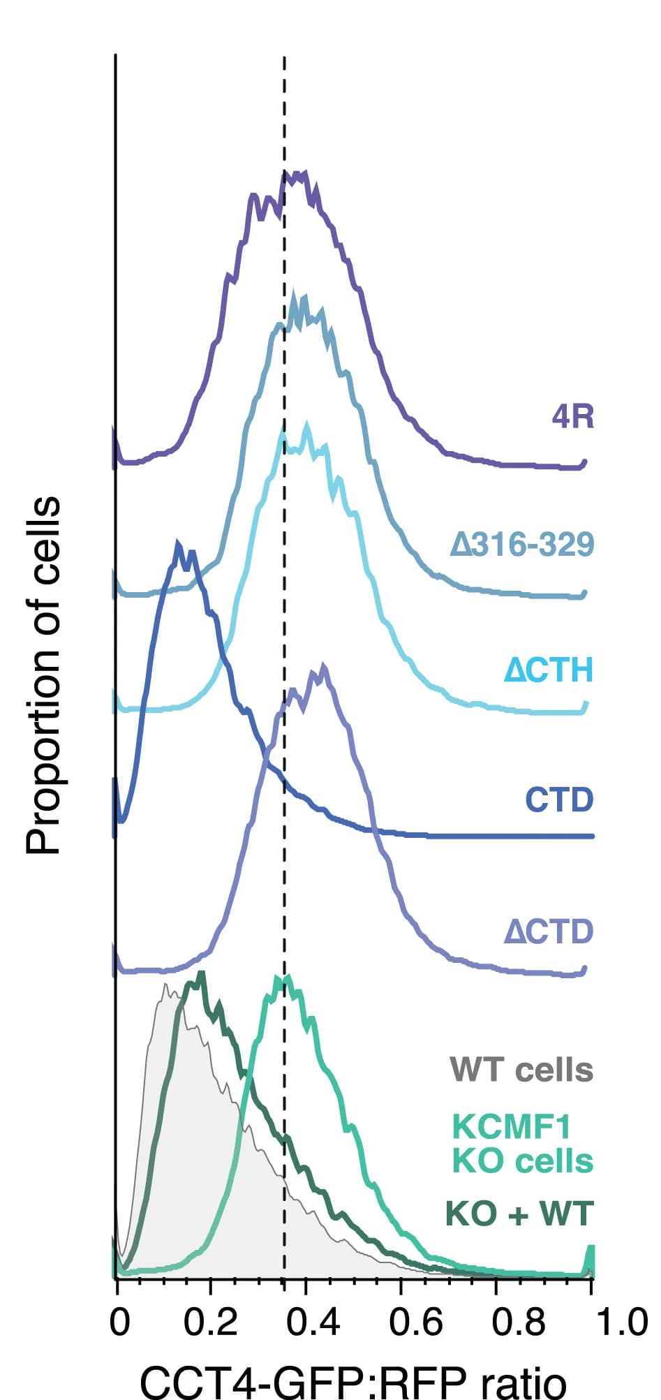 Open access visualization of Line Plot, Density Plot, WT Cells, KCMF1 Cells, CCT4 Reporter